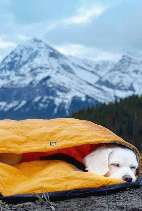 Kain Beg Tidur